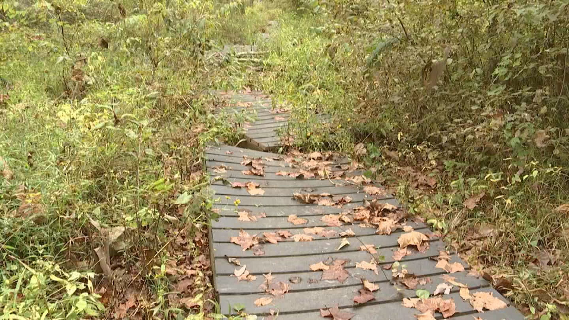 trail